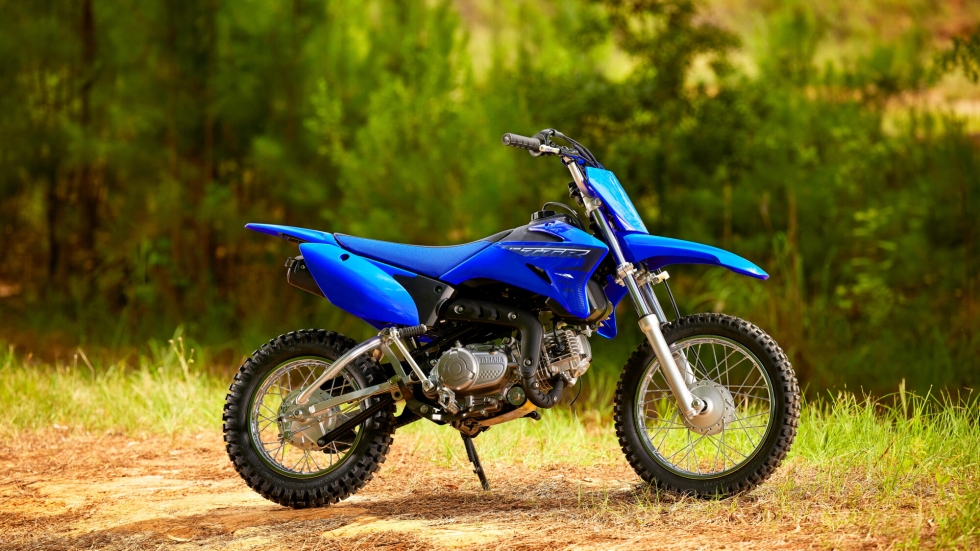 Yamaha TT-R110